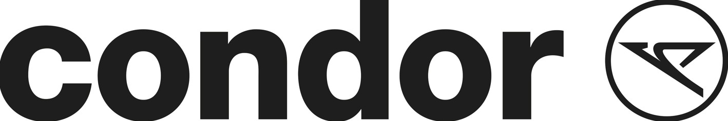 condor-imagen-directorio-.jpg