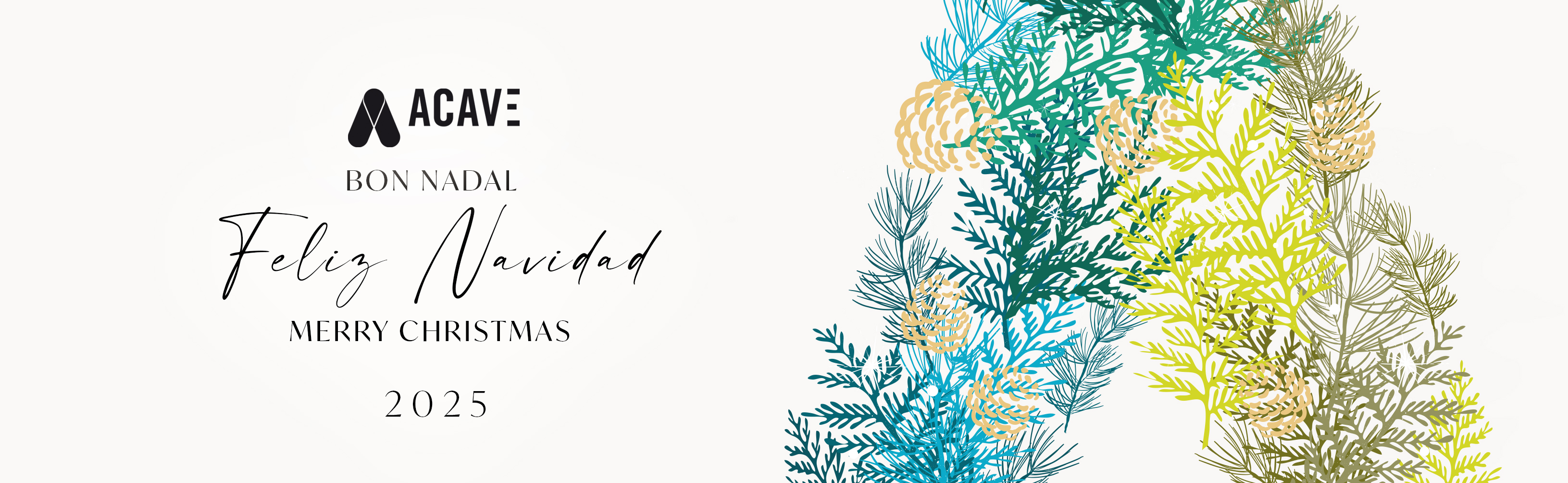 Feliz Navidad // Bon Nadal // Merry Xmas